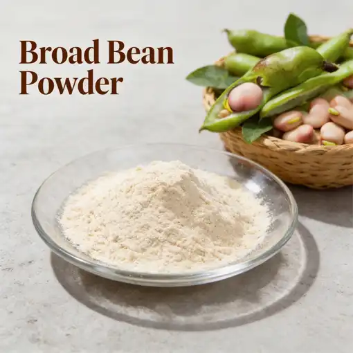 Why Is Broad Bean Powder Trending in Plant-Based Markets?